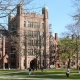 Best college admissions essay yale