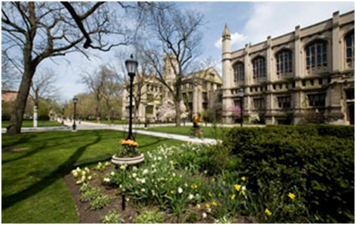 University of chicago admissions essay best